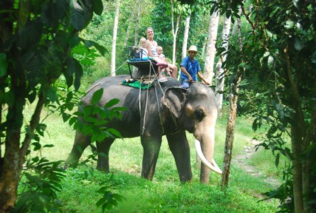 泰国-曼谷骑大象1